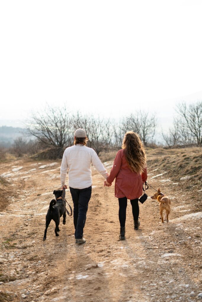Tu perro lo dice todo: por qué los dog parents buscan parejas que compartan su forma de amar pexels katarina bukerova 1673440470 32529504